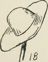 Picture 87 of 166 from Augsburg's drawing, book 2 (1901), leaf 100