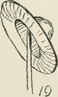 Picture 88 of 166 from Augsburg's drawing, book 2 (1901), leaf 100