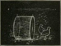 Picture 98 of 166 from Augsburg's drawing, book 2 (1901), leaf 106