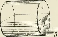 Picture 106 of 166 from Augsburg's drawing, book 2 (1901), leaf 113