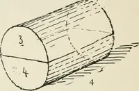 Picture 107 of 166 from Augsburg's drawing, book 2 (1901), leaf 113