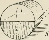 Picture 108 of 166 from Augsburg's drawing, book 2 (1901), leaf 114
