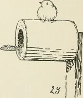 Picture 116 of 166 from Augsburg's drawing, book 2 (1901), leaf 119