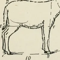 Picture 123 of 166 from Augsburg's drawing, book 2 (1901), leaf 128