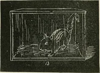 Picture 125 of 166 from Augsburg's drawing, book 2 (1901), leaf 129