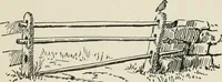 An illustration from Augsburg's drawing, book 2 (1901)