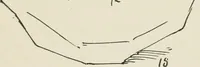 Picture 129 of 166 from Augsburg's drawing, book 2 (1901), leaf 132