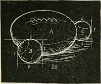 Picture 131 of 166 from Augsburg's drawing, book 2 (1901), leaf 134