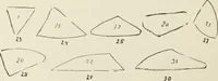 Picture 134 of 166 from Augsburg's drawing, book 2 (1901), leaf 135