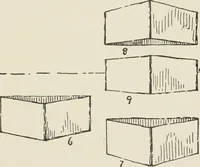 Picture 142 of 166 from Augsburg's drawing, book 2 (1901), leaf 146