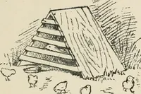 Picture 153 of 166 from Augsburg's drawing, book 2 (1901), leaf 152