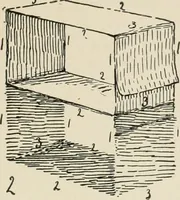 An illustration from Augsburg's drawing, book 2 (1901)