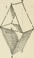 Picture 161 of 166 from Augsburg's drawing, book 2 (1901), leaf 157
