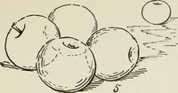 An illustration from Augsburg's drawing, book 2 (1901)