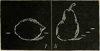 Picture 5 of 166 from Augsburg's drawing, book 2 (1901), leaf 24
