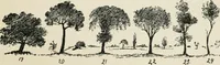Picture 11 of 166 from Augsburg's drawing, book 2 (1901), leaf 30