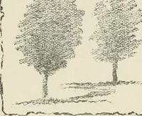 Picture 12 of 166 from Augsburg's drawing, book 2 (1901), leaf 31