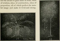 Picture 15 of 166 from Augsburg's drawing, book 2 (1901), leaf 34