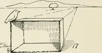 Picture 23 of 166 from Augsburg's drawing, book 2 (1901), leaf 41