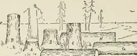 Picture 27 of 166 from Augsburg's drawing, book 2 (1901), leaf 49