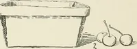 Picture 38 of 166 from Augsburg's drawing, book 2 (1901), leaf 61