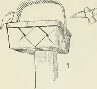Picture 45 of 166 from Augsburg's drawing, book 2 (1901), leaf 65
