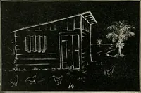 Picture 48 of 166 from Augsburg's drawing, book 2 (1901), leaf 69