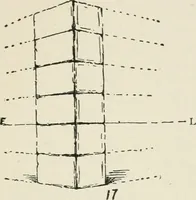 Picture 69 of 166 from Augsburg's drawing, book 2 (1901), leaf 84