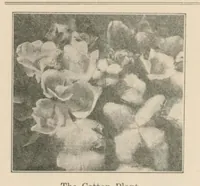 Picture 1 of 15 from July 1927 (1927), leaf 1
