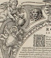 Picture 152 of 262 from Augustissimorum imperatorum, serenissimorum regum, atque archiducum, illustrissimorum principum, necnon comitum, baronum, nobilium, aliorumq[ue] clarissimorum virorum, qui aut ipsi cum imperio bellorum duces fuerunt, aut in iisdem præfecturis insignioribus laudabiliter functi sunt, verissimæ imagines, & rerum ab ipsis domi, forisq[ue] gestarum succinctæ descriptiones. Quorum arma, aut integra, aut horum partes, quibus induti, vsique aduersus hostem heroica facinora patrarunt, aut quorum auspiciis tàm prospera quàm aduersa fortuna res magnæ gestæ sunt, à serenissimo principe Ferdinando, archiduce Austriæ, duce Burgundiæ, comte Habspurgi & Tyrolis &c. ex omnibus ferè orbis terrarum prouinciis partim conquista, partim ab illorum hæredibus & successoribus transmissa, in celebri Ambrosianæ arcis armamentario, à sua serenitate non procul ciutate Oenipontana extructo, conspiciuntur (1601), leaf 151