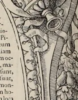An illustration from Augustissimorum imperatorum, serenissimorum regum, atque archiducum, illustrissimorum principum, necnon comitum, baronum, nobilium, aliorumq[ue] clarissimorum virorum, qui aut ipsi cum imperio bellorum duces fuerunt, aut in iisdem præfecturis insignioribus laudabiliter functi sunt, verissimæ imagines, & rerum ab ipsis domi, forisq[ue] gestarum succinctæ descriptiones. Quorum arma, aut integra, aut horum partes, quibus induti, vsique aduersus hostem heroica facinora patrarunt, aut quorum auspiciis tàm prospera quàm aduersa fortuna res magnæ gestæ sunt, à serenissimo principe Ferdinando, archiduce Austriæ, duce Burgundiæ, comte Habspurgi & Tyrolis &c. ex omnibus ferè orbis terrarum prouinciis partim conquista, partim ab illorum hæredibus & successoribus transmissa, in celebri Ambrosianæ arcis armamentario, à sua serenitate non procul ciutate Oenipontana extructo, conspiciuntur (1601)