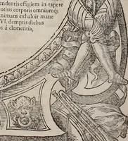 Picture 161 of 262 from Augustissimorum imperatorum, serenissimorum regum, atque archiducum, illustrissimorum principum, necnon comitum, baronum, nobilium, aliorumq[ue] clarissimorum virorum, qui aut ipsi cum imperio bellorum duces fuerunt, aut in iisdem præfecturis insignioribus laudabiliter functi sunt, verissimæ imagines, & rerum ab ipsis domi, forisq[ue] gestarum succinctæ descriptiones. Quorum arma, aut integra, aut horum partes, quibus induti, vsique aduersus hostem heroica facinora patrarunt, aut quorum auspiciis tàm prospera quàm aduersa fortuna res magnæ gestæ sunt, à serenissimo principe Ferdinando, archiduce Austriæ, duce Burgundiæ, comte Habspurgi & Tyrolis &c. ex omnibus ferè orbis terrarum prouinciis partim conquista, partim ab illorum hæredibus & successoribus transmissa, in celebri Ambrosianæ arcis armamentario, à sua serenitate non procul ciutate Oenipontana extructo, conspiciuntur (1601), leaf 157