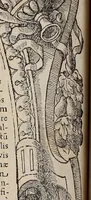 An illustration from Augustissimorum imperatorum, serenissimorum regum, atque archiducum, illustrissimorum principum, necnon comitum, baronum, nobilium, aliorumq[ue] clarissimorum virorum, qui aut ipsi cum imperio bellorum duces fuerunt, aut in iisdem præfecturis insignioribus laudabiliter functi sunt, verissimæ imagines, & rerum ab ipsis domi, forisq[ue] gestarum succinctæ descriptiones. Quorum arma, aut integra, aut horum partes, quibus induti, vsique aduersus hostem heroica facinora patrarunt, aut quorum auspiciis tàm prospera quàm aduersa fortuna res magnæ gestæ sunt, à serenissimo principe Ferdinando, archiduce Austriæ, duce Burgundiæ, comte Habspurgi & Tyrolis &c. ex omnibus ferè orbis terrarum prouinciis partim conquista, partim ab illorum hæredibus & successoribus transmissa, in celebri Ambrosianæ arcis armamentario, à sua serenitate non procul ciutate Oenipontana extructo, conspiciuntur (1601)