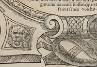 Picture 165 of 262 from Augustissimorum imperatorum, serenissimorum regum, atque archiducum, illustrissimorum principum, necnon comitum, baronum, nobilium, aliorumq[ue] clarissimorum virorum, qui aut ipsi cum imperio bellorum duces fuerunt, aut in iisdem præfecturis insignioribus laudabiliter functi sunt, verissimæ imagines, & rerum ab ipsis domi, forisq[ue] gestarum succinctæ descriptiones. Quorum arma, aut integra, aut horum partes, quibus induti, vsique aduersus hostem heroica facinora patrarunt, aut quorum auspiciis tàm prospera quàm aduersa fortuna res magnæ gestæ sunt, à serenissimo principe Ferdinando, archiduce Austriæ, duce Burgundiæ, comte Habspurgi & Tyrolis &c. ex omnibus ferè orbis terrarum prouinciis partim conquista, partim ab illorum hæredibus & successoribus transmissa, in celebri Ambrosianæ arcis armamentario, à sua serenitate non procul ciutate Oenipontana extructo, conspiciuntur (1601), leaf 161