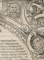 Picture 205 of 262 from Augustissimorum imperatorum, serenissimorum regum, atque archiducum, illustrissimorum principum, necnon comitum, baronum, nobilium, aliorumq[ue] clarissimorum virorum, qui aut ipsi cum imperio bellorum duces fuerunt, aut in iisdem præfecturis insignioribus laudabiliter functi sunt, verissimæ imagines, & rerum ab ipsis domi, forisq[ue] gestarum succinctæ descriptiones. Quorum arma, aut integra, aut horum partes, quibus induti, vsique aduersus hostem heroica facinora patrarunt, aut quorum auspiciis tàm prospera quàm aduersa fortuna res magnæ gestæ sunt, à serenissimo principe Ferdinando, archiduce Austriæ, duce Burgundiæ, comte Habspurgi & Tyrolis &c. ex omnibus ferè orbis terrarum prouinciis partim conquista, partim ab illorum hæredibus & successoribus transmissa, in celebri Ambrosianæ arcis armamentario, à sua serenitate non procul ciutate Oenipontana extructo, conspiciuntur (1601), leaf 211