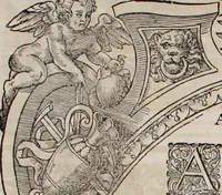 Picture 219 of 262 from Augustissimorum imperatorum, serenissimorum regum, atque archiducum, illustrissimorum principum, necnon comitum, baronum, nobilium, aliorumq[ue] clarissimorum virorum, qui aut ipsi cum imperio bellorum duces fuerunt, aut in iisdem præfecturis insignioribus laudabiliter functi sunt, verissimæ imagines, & rerum ab ipsis domi, forisq[ue] gestarum succinctæ descriptiones. Quorum arma, aut integra, aut horum partes, quibus induti, vsique aduersus hostem heroica facinora patrarunt, aut quorum auspiciis tàm prospera quàm aduersa fortuna res magnæ gestæ sunt, à serenissimo principe Ferdinando, archiduce Austriæ, duce Burgundiæ, comte Habspurgi & Tyrolis &c. ex omnibus ferè orbis terrarum prouinciis partim conquista, partim ab illorum hæredibus & successoribus transmissa, in celebri Ambrosianæ arcis armamentario, à sua serenitate non procul ciutate Oenipontana extructo, conspiciuntur (1601), leaf 223