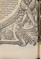 Picture 245 of 262 from Augustissimorum imperatorum, serenissimorum regum, atque archiducum, illustrissimorum principum, necnon comitum, baronum, nobilium, aliorumq[ue] clarissimorum virorum, qui aut ipsi cum imperio bellorum duces fuerunt, aut in iisdem præfecturis insignioribus laudabiliter functi sunt, verissimæ imagines, & rerum ab ipsis domi, forisq[ue] gestarum succinctæ descriptiones. Quorum arma, aut integra, aut horum partes, quibus induti, vsique aduersus hostem heroica facinora patrarunt, aut quorum auspiciis tàm prospera quàm aduersa fortuna res magnæ gestæ sunt, à serenissimo principe Ferdinando, archiduce Austriæ, duce Burgundiæ, comte Habspurgi & Tyrolis &c. ex omnibus ferè orbis terrarum prouinciis partim conquista, partim ab illorum hæredibus & successoribus transmissa, in celebri Ambrosianæ arcis armamentario, à sua serenitate non procul ciutate Oenipontana extructo, conspiciuntur (1601), leaf 251