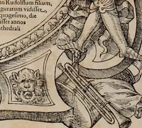 Picture 249 of 262 from Augustissimorum imperatorum, serenissimorum regum, atque archiducum, illustrissimorum principum, necnon comitum, baronum, nobilium, aliorumq[ue] clarissimorum virorum, qui aut ipsi cum imperio bellorum duces fuerunt, aut in iisdem præfecturis insignioribus laudabiliter functi sunt, verissimæ imagines, & rerum ab ipsis domi, forisq[ue] gestarum succinctæ descriptiones. Quorum arma, aut integra, aut horum partes, quibus induti, vsique aduersus hostem heroica facinora patrarunt, aut quorum auspiciis tàm prospera quàm aduersa fortuna res magnæ gestæ sunt, à serenissimo principe Ferdinando, archiduce Austriæ, duce Burgundiæ, comte Habspurgi & Tyrolis &c. ex omnibus ferè orbis terrarum prouinciis partim conquista, partim ab illorum hæredibus & successoribus transmissa, in celebri Ambrosianæ arcis armamentario, à sua serenitate non procul ciutate Oenipontana extructo, conspiciuntur (1601), leaf 253