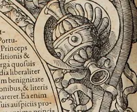 Picture 251 of 262 from Augustissimorum imperatorum, serenissimorum regum, atque archiducum, illustrissimorum principum, necnon comitum, baronum, nobilium, aliorumq[ue] clarissimorum virorum, qui aut ipsi cum imperio bellorum duces fuerunt, aut in iisdem præfecturis insignioribus laudabiliter functi sunt, verissimæ imagines, & rerum ab ipsis domi, forisq[ue] gestarum succinctæ descriptiones. Quorum arma, aut integra, aut horum partes, quibus induti, vsique aduersus hostem heroica facinora patrarunt, aut quorum auspiciis tàm prospera quàm aduersa fortuna res magnæ gestæ sunt, à serenissimo principe Ferdinando, archiduce Austriæ, duce Burgundiæ, comte Habspurgi & Tyrolis &c. ex omnibus ferè orbis terrarum prouinciis partim conquista, partim ab illorum hæredibus & successoribus transmissa, in celebri Ambrosianæ arcis armamentario, à sua serenitate non procul ciutate Oenipontana extructo, conspiciuntur (1601), leaf 255