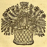 An illustration from Augustissimo Ioanni IV. Lusitanorum regi. (1677)