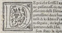 An illustration from Auisi particolari delle Indie di Portugallo riceuuti in questi doi anni del .1551. & 1552. da li reuere[n]di padri de la Co[m]pagnia de Iesu, : doue fra molte cose mirabili, si uede delli paesi, delle genti, & costumi loro & la grande co[n]uersioue [sic] di molti populi, che cominciano a riceuere il lume della sa[n]ta fede & relligione [sic] Christiana (1552)