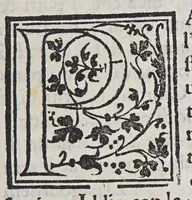 An illustration from Auisi particolari delle Indie di Portugallo riceuuti in questi doi anni del .1551. & 1552. da li reuere[n]di padri de la Co[m]pagnia de Iesu, : doue fra molte cose mirabili, si uede delli paesi, delle genti, & costumi loro & la grande co[n]uersioue [sic] di molti populi, che cominciano a riceuere il lume della sa[n]ta fede & relligione [sic] Christiana (1552)
