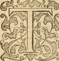 An illustration from The auncient ecclesiasticall histories of the first six hundred yeares after Christ, wrytten in the Greeke tongue by three learned historiographers, Eusebius, Socrates, and Euagrius. Eusebius Pamphilus Bishop of Cæsarea in Palæstina vvrote 10 bookes. Socrates Scholasticus of Constantinople vvrote 7 bookes. Euagrius Scholasticus of Antioch vvrote 6 bookes. VVhereunto is annexed Dorotheus Bishop of Tyrus, of the liues of the prophetes, apostles and 70 disciples. All which authors are faithfully translated out of the Greeke tongue by Meredith Hanmer, Maister of Arte and student in diuinitie. Last of all herein is contayned a profitable chronographie collected by the sayd translator, the title whereof is to be seene in the ende of this volume, with a copious index of the principall matters throughout all the histories (1577)