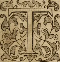 An illustration from The auncient ecclesiasticall histories of the first six hundred yeares after Christ, wrytten in the Greeke tongue by three learned historiographers, Eusebius, Socrates, and Euagrius. Eusebius Pamphilus Bishop of Cæsarea in Palæstina vvrote 10 bookes. Socrates Scholasticus of Constantinople vvrote 7 bookes. Euagrius Scholasticus of Antioch vvrote 6 bookes. VVhereunto is annexed Dorotheus Bishop of Tyrus, of the liues of the prophetes, apostles and 70 disciples. All which authors are faithfully translated out of the Greeke tongue by Meredith Hanmer, Maister of Arte and student in diuinitie. Last of all herein is contayned a profitable chronographie collected by the sayd translator, the title whereof is to be seene in the ende of this volume, with a copious index of the principall matters throughout all the histories (1577)