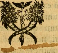 An illustration from Aureliae urbis Anglicana obsidio, : et simul res gestae Ioannae Darciae vulgò Puellae Aurelianensis. (1631)