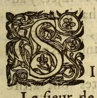 An illustration from Au roy. : Sire, le sieur de Champlain remontre tres-humblement à vostre majesté, que les trauaux par luy soufferts, aux descouuertes de plusieurs terres, lacs & riuieres du pays de vostre nouuelle France, depuis vingt-sept ans . (1630)