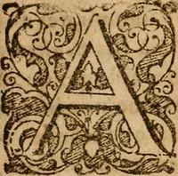 An illustration from Aurum aurae : vi magnetismi universalis attractum (1674)