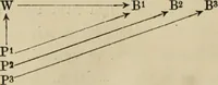 An illustration from Ausdrucksbewegung und Gestaltungskraft (1913)