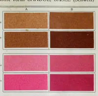 An illustration from Ausfärbungen auf Papier = Teintures sur papier = Dyeings on paper (1900)