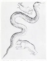 An illustration from Ausführliches Lexikon der griechischen und römischen Mythologie (1884)
